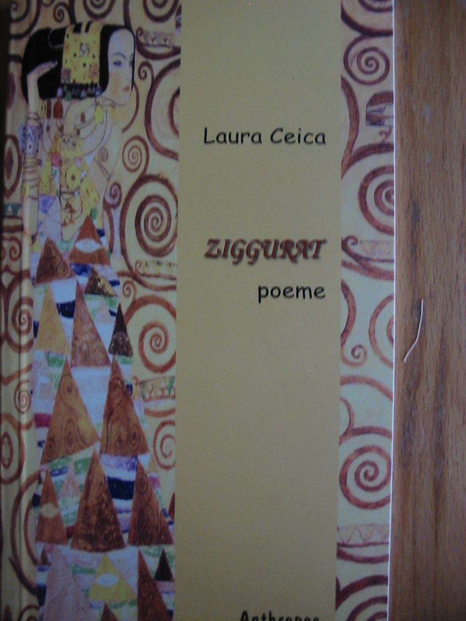 Laura Ceica - Ziggurat